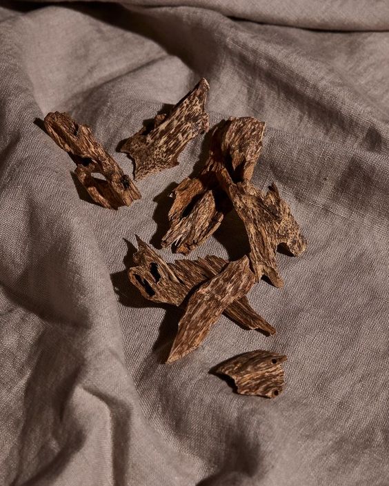 OUD / WOODY